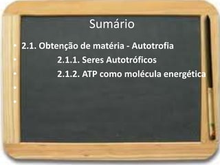 Sumário
• 2.1. Obtenção de matéria - Autotrofia
• 2.1.1. Seres Autotróficos
• 2.1.2. ATP como molécula energética
•
•
 