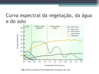 Curva espectral da vegetação, da água
e do solo
 