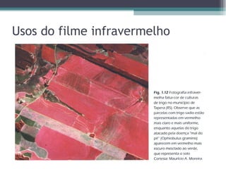 Usos do filme infravermelho
 