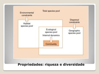Propriedades: riqueza e diversidade
 
