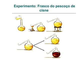 Experimento: Frasco do pescoço de
cisne
 