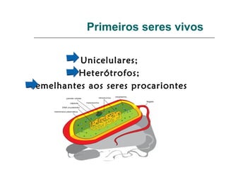Primeiros seres vivos
Unicelulares;
Heterótrofos;
Semelhantes aos seres procariontes
 