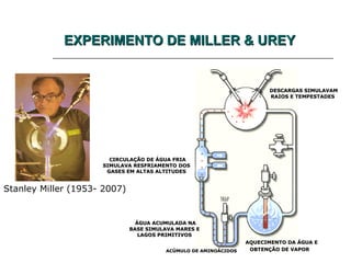 EXPERIMENTO DE MILLER & UREYEXPERIMENTO DE MILLER & UREY
AQUECIMENTO DA ÁGUA EAQUECIMENTO DA ÁGUA E
OBTENÇÃO DE VAPOROBTENÇÃO DE VAPOR
DESCARGAS SIMULAVAMDESCARGAS SIMULAVAM
RAIOS E TEMPESTADESRAIOS E TEMPESTADES
CIRCULAÇÃO DE ÁGUA FRIACIRCULAÇÃO DE ÁGUA FRIA
SIMULAVA RESFRIAMENTO DOSSIMULAVA RESFRIAMENTO DOS
GASES EM ALTAS ALTITUDESGASES EM ALTAS ALTITUDES
ÁGUA ACUMULADA NAÁGUA ACUMULADA NA
BASE SIMULAVA MARES EBASE SIMULAVA MARES E
LAGOS PRIMITIVOSLAGOS PRIMITIVOS
ACÚMULO DE AMINOÁCIDOSACÚMULO DE AMINOÁCIDOS
Stanley Miller (1953- 2007)
 
