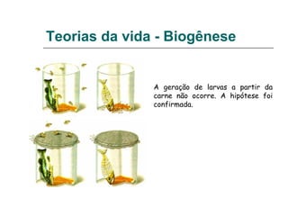 Teorias da vida - Biogênese
A geração de larvas a partir da
carne não ocorre. A hipótese foi
confirmada.
 