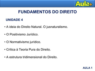 FUNDAMENTOS DO DIREITO
UNIDADE 4
• A ideia do Direito Natural. O jusnaturalismo.
• O Positivismo Jurídico.
• O Normativismo jurídico.
• Crítica à Teoria Pura do Direito.
• A estrutura tridimensional do Direito.
AULA 1
AULA 1
 