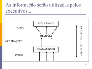 14 
As informação serão utilizadas pelos executivos... 
 