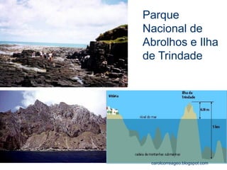 Parque Nacional de Abrolhos e Ilha de Trindade 
carolcorreageo.blogspot.com  