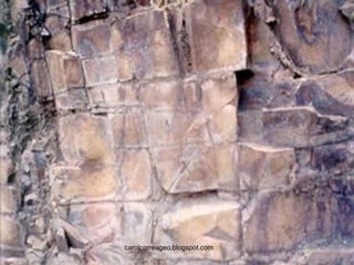 carolcorreageo.blogspot.com  