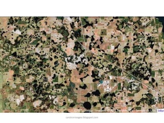 carolcorreageo.blogspot.com  