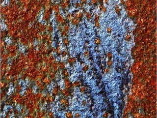 carolcorreageo.blogspot.com  