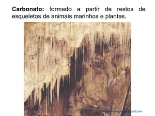Carbonato: formado a partir de restos de esqueletos de animais marinhos e plantas. 
carolcorreageo.blogspot.com  