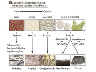 carolcorreageo.blogspot.com  