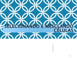 SELECIONANDO E MESCLANDO
CÉLULAS
34
 