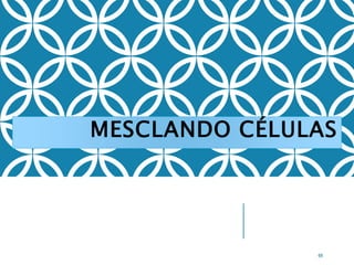 MESCLANDO CÉLULAS
69
 