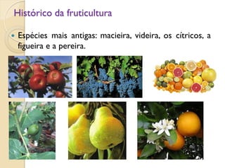 Histórico da fruticultura
 Espécies mais antigas: macieira, videira, os cítricos, a
figueira e a pereira.
 