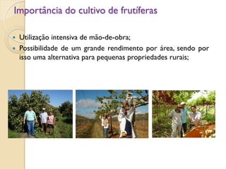 Importância do cultivo de frutíferas
 Utilização intensiva de mão-de-obra;
 Possibilidade de um grande rendimento por área, sendo por
isso uma alternativa para pequenas propriedades rurais;
 