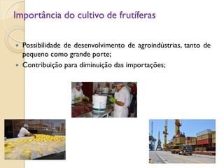 Importância do cultivo de frutíferas
 Possibilidade de desenvolvimento de agroindústrias, tanto de
pequeno como grande porte;
 Contribuição para diminuição das importações;
 