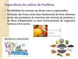Importância do cultivo de frutíferas
 Possibilidade de aumento nas divisas com as exportações;
 Utilização das frutas como base fundamental de fonte alimentar,
sendo elas portadoras de vitaminas, sais minerais, de proteínas e
de fibras indispensáveis ao bom funcionamento do organismo
humano, entre outras.
 