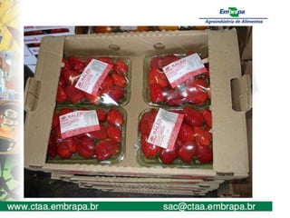 aulas de friticultura