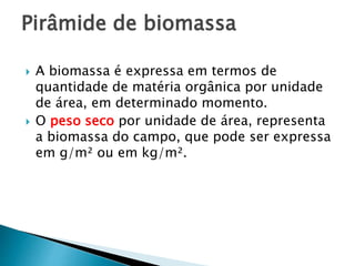 Pirâmide de biomassa
 A biomassa é expressa em termos de
quantidade de matéria orgânica por unidade
de área, em determinado momento.
 O peso seco por unidade de área, representa
a biomassa do campo, que pode ser expressa
em g/m² ou em kg/m².
 