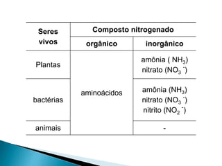 Seres
vivos
Composto nitrogenado
orgânico inorgânico
Plantas
aminoácidos
amônia ( NH3)
nitrato (NO3
-
)
bactérias
amônia (NH3)
nitrato (NO3
-
)
nitrito (NO2
-
)
animais -
 