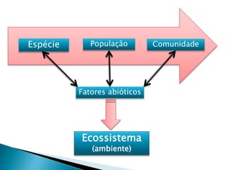 Espécie População Comunidade
Fatores abióticos
Ecossistema
(ambiente)
 