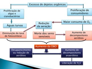 Excesso de dejetos orgânicos
Proliferação de
algas e
cianobactérias
Proliferação de
consumidores
Águas turvas
Maior consumo de O2
Diminuição da taxa
de fotossíntese
Redução
da aeração
Morte dos seres
sensíveis
Aumento de
decompositores
aeróbios
Aumento da DBO
Desaparecimento
ou redução de
aeróbios
Aumento de
decompositores
anaeróbios
Liberação de H2S
 