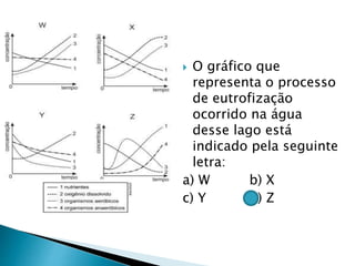  O gráfico que
representa o processo
de eutrofização
ocorrido na água
desse lago está
indicado pela seguinte
letra:
a) W b) X
c) Y d) Z
 