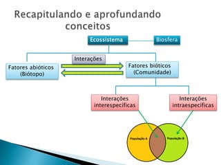 Ecossistema Biosfera
Fatores abióticos
(Biótopo)
Fatores bióticos
(Comunidade)
Interações
Interações
interespecíficas
Interações
intraespecíficas
 