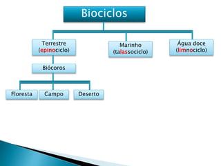 Biociclos
Terrestre
(epinociclo)
Marinho
(talassociclo)
Água doce
(limnociclo)
Biócoros
Floresta Campo Deserto
 