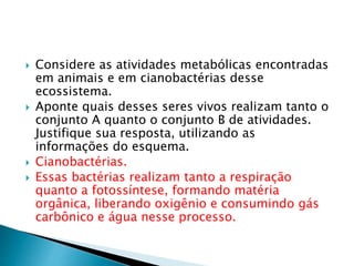  Considere as atividades metabólicas encontradas
em animais e em cianobactérias desse
ecossistema.
 Aponte quais desses seres vivos realizam tanto o
conjunto A quanto o conjunto B de atividades.
Justifique sua resposta, utilizando as
informações do esquema.
 Cianobactérias.
 Essas bactérias realizam tanto a respiração
quanto a fotossíntese, formando matéria
orgânica, liberando oxigênio e consumindo gás
carbônico e água nesse processo.
 
