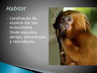  Localização da
espécie em seu
ecossistema.
 Onde encontra
abrigo, alimentação
e reprodução.
 