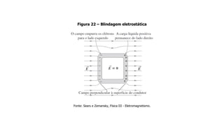 Figura 22 – Blindagem eletrostática
Fonte: Sears e Zemansky, Física III - Eletromagnetismo.
 