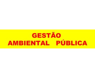 GESTÃO
AMBIENTAL PÚBLICA
 