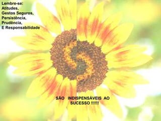 Lembre-se:
Atitudes,
Gestos Seguros,
Persistência,
Prudência,
E Responsabilidade
SÃO INDISPENSÁVEIS AO
SUCESSO !!!!!!
 
