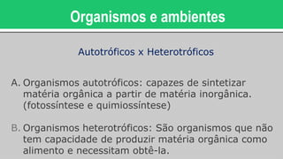 Organismos e ambientes
A. Organismos autotróficos: capazes de sintetizar
matéria orgânica a partir de matéria inorgânica.
(fotossíntese e quimiossíntese)
B. Organismos heterotróficos: São organismos que não
tem capacidade de produzir matéria orgânica como
alimento e necessitam obtê-la.
Autotróficos x Heterotróficos
 