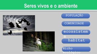 Seres vivos e o ambiente
POPULAÇÃO
COMUNIDADE
habitat
ecossistem
a
Nicho
ecológico
 