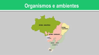 Organismos e ambientes
 
