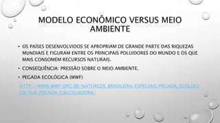 MODELO ECONÔMICO VERSUS MEIO
AMBIENTE
• OS PAÍSES DESENVOLVIDOS SE APROPRIAM DE GRANDE PARTE DAS RIQUEZAS
MUNDIAIS E FIGURAM ENTRE OS PRINCIPAIS POLUIDORES DO MUNDO E OS QUE
MAIS CONSOMEM RECURSOS NATURAIS.
• CONSEQUÊNCIA: PRESSÃO SOBRE O MEIO AMBIENTE.
• PEGADA ECOLÓGICA (WWF)
HTTP://WWW.WWF.ORG.BR/NATUREZA_BRASILEIRA/ESPECIAIS/PEGADA_ECOLOGI
CA/SUA_PEGADA/CALCULADORA/
 