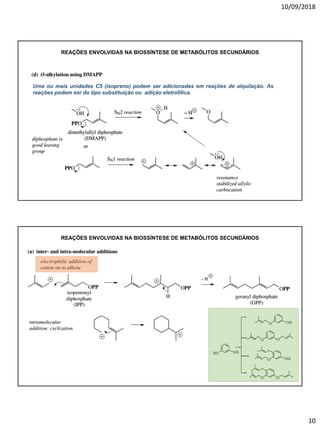 10/09/2018
10
REAÇÕES ENVOLVIDAS NA BIOSSÍNTESE DE METABÓLITOS SECUNDÁRIOS
Uma ou mais unidades C5 (isopreno) podem ser adicionadas em reações de alquilação. As
reações podem ser do tipo substituição ou adição eletrofílica.
REAÇÕES ENVOLVIDAS NA BIOSSÍNTESE DE METABÓLITOS SECUNDÁRIOS
 