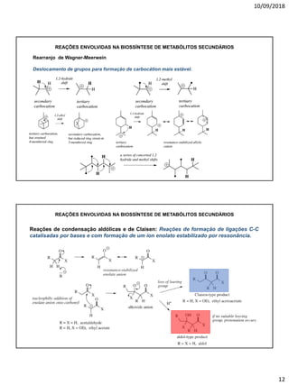 10/09/2018
12
Rearranjo de Wagner-Meerwein
Deslocamento de grupos para formação de carbocátion mais estável.
REAÇÕES ENVOLVIDAS NA BIOSSÍNTESE DE METABÓLITOS SECUNDÁRIOS
Reações de condensação aldólicas e de Claisen: Reações de formação de ligações C-C
catalisadas por bases e com formação de um íon enolato estabilizado por ressonância.
REAÇÕES ENVOLVIDAS NA BIOSSÍNTESE DE METABÓLITOS SECUNDÁRIOS
 