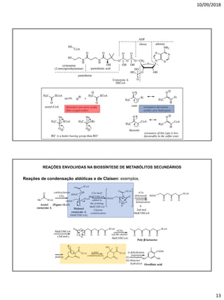 10/09/2018
13
Reações de condensação aldólicas e de Claisen: exemplos.
REAÇÕES ENVOLVIDAS NA BIOSSÍNTESE DE METABÓLITOS SECUNDÁRIOS
 