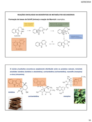 10/09/2018
16
Formação de bases de Schiff (iminas) e reação de Mannich: exemplos.
REAÇÕES ENVOLVIDAS NA BIOSSÍNTESE DE METABÓLITOS SECUNDÁRIOS
O núcleo b-carbolina encontra-se amplamente distribuído entre os produtos naturais, incluindo
alcalóides ioimbina (ioimbina e aloioimbina), corinanteidina (corinanteidina), rauwolfia (reserpina)
e vinca (vincamina).
ioimbina
reserpinacorinanteidina
 