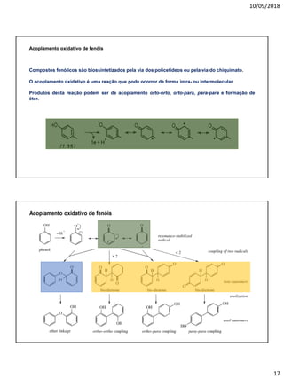 10/09/2018
17
Compostos fenólicos são biossintetizados pela via dos policetídeos ou pela via do chiquimato.
O acoplamento oxidativo é uma reação que pode ocorrer de forma intra- ou intermolecular
Produtos desta reação podem ser de acoplamento orto-orto, orto-para, para-para e formação de
éter.
Acoplamento oxidativo de fenóis
Acoplamento oxidativo de fenóis
 