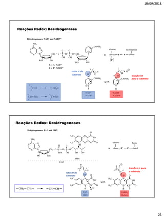 10/09/2018
23
Reações Redox: Desidrogenases
retira H- do
substrato transfere H-
para o substrato
Reações Redox: Desidrogenases
retira H- do
substrato
transfere H- para
o substrato
 