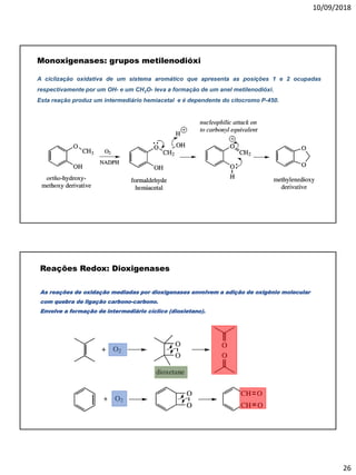 10/09/2018
26
Monoxigenases: grupos metilenodióxi
A ciclização oxidativa de um sistema aromático que apresenta as posições 1 e 2 ocupadas
respectivamente por um OH- e um CH3O- leva a formação de um anel metilenodióxi.
Esta reação produz um intermediário hemiacetal e é dependente do citocromo P-450.
Reações Redox: Dioxigenases
As reações de oxidação mediadas por dioxigenases envolvem a adição de oxigênio molecular
com quebra de ligação carbono-carbono.
Envolve a formação de intermediário cíclico (dioxietano).
 