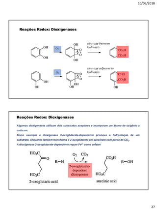 10/09/2018
27
Reações Redox: Dioxigenases
Reações Redox: Dioxigenases
Algumas dioxigenases utilizam dois substratos aceptores e incorporam um átomo de oxigênio a
cada um.
Como exemplo a dioxigenase 2-oxoglutarate-dependente promove a hidroxilação de um
substrato, enquanto também transforma o 2-oxoglutarato em succinato com perda de CO2.
A dioxigenase 2-oxoglutarate-dependente requer Fe2+ como cofator.
 