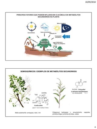 10/09/2018
4
PRINCIPAIS FATORES QUE PODEM INFLUENCIAR O ACÚMULO DE METABÓLITOS
SECUNDÁRIOS NA PLANTA
Polygonum hydropiper L: erva-de-bicho, capiçoba,
pimenta-d'água, pimenta-do-brejo, cataia
Melia azadirachta: amargosa, neen, nim
SEMIOQUÍMICOS: EXEMPLOS DE METABÓLITOS SECUNDÁRIOS
 