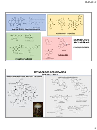 10/09/2018
6
METABÓLITOS
SECUNDÁRIOS:
PRINCIPAIS CLASSES
POLICETÍDEOS E ÁCIDOS GRAXOS
TERPENÓIDES E ESTERÓIDES
FENILPROPANÓIDES
ALCALÓIDES
METABÓLITOS SECUNDÁRIOS
PRINCIPAIS CLASSES
DERIVADOS DE AMINOÁCIDOS, PROTEÍNAS E PEPTÍDEOS
DERIVADOS DE CARBOIDRATOS
 