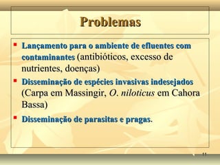 ProblemasProblemas
 Lançamento para o ambiente de efluentes comLançamento para o ambiente de efluentes com
contaminantescontaminantes (antibióticos, excesso de(antibióticos, excesso de
nutrientes, doenças)nutrientes, doenças)
 Disseminação de espécies invasivas indesejadosDisseminação de espécies invasivas indesejados
(Carpa em Massingir,(Carpa em Massingir, OO.. niloticusniloticus em Cahoraem Cahora
Bassa)Bassa)

Disseminação de parasitas e pragasDisseminação de parasitas e pragas..
1111
 